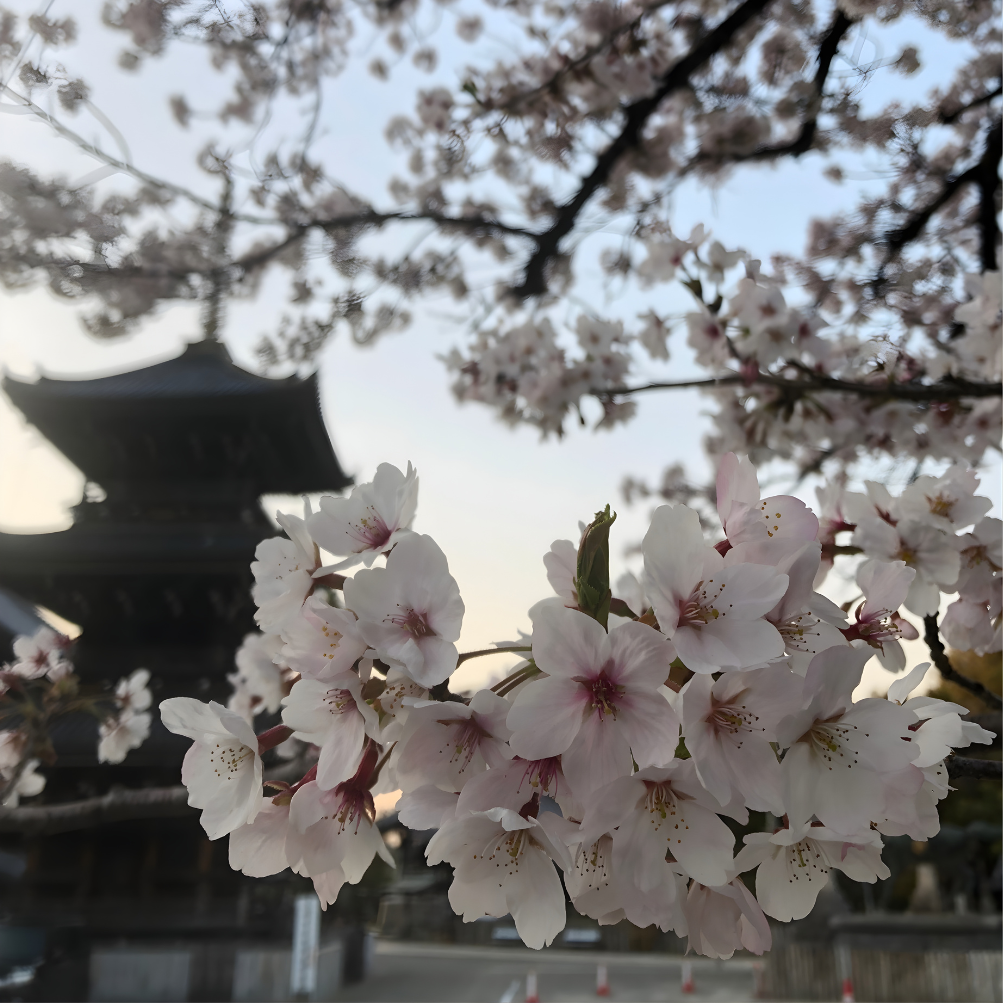 水間寺周辺で静かに過ごす時間のイメージ