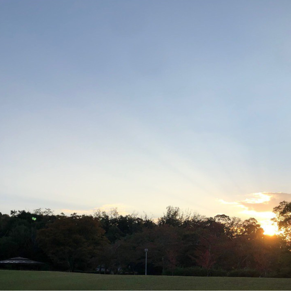 水間公園の静かな散策風景
