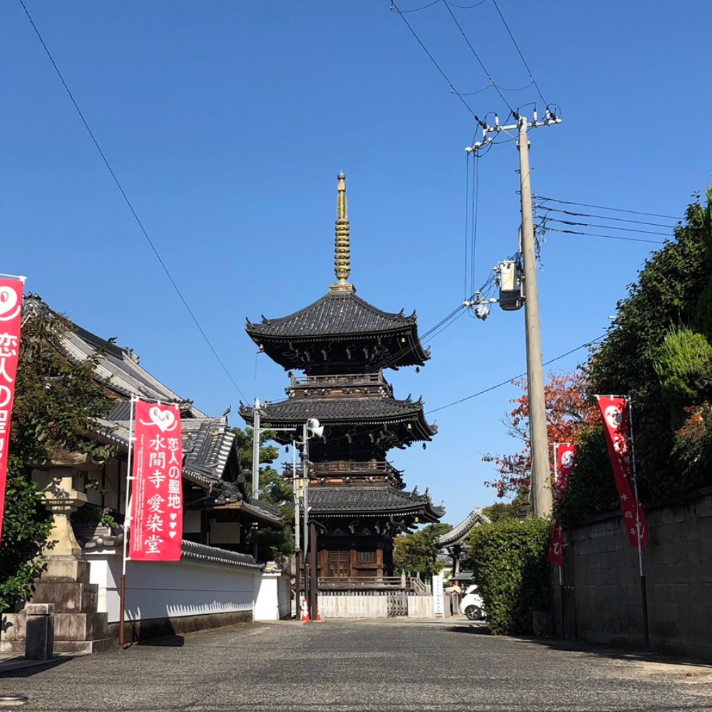 水間寺の参道から見える三重塔と青空
