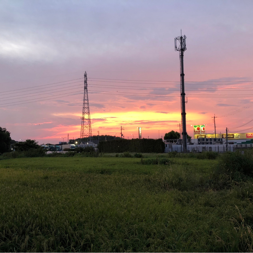 水間門前町周辺で夕日が広がる田畑の風景