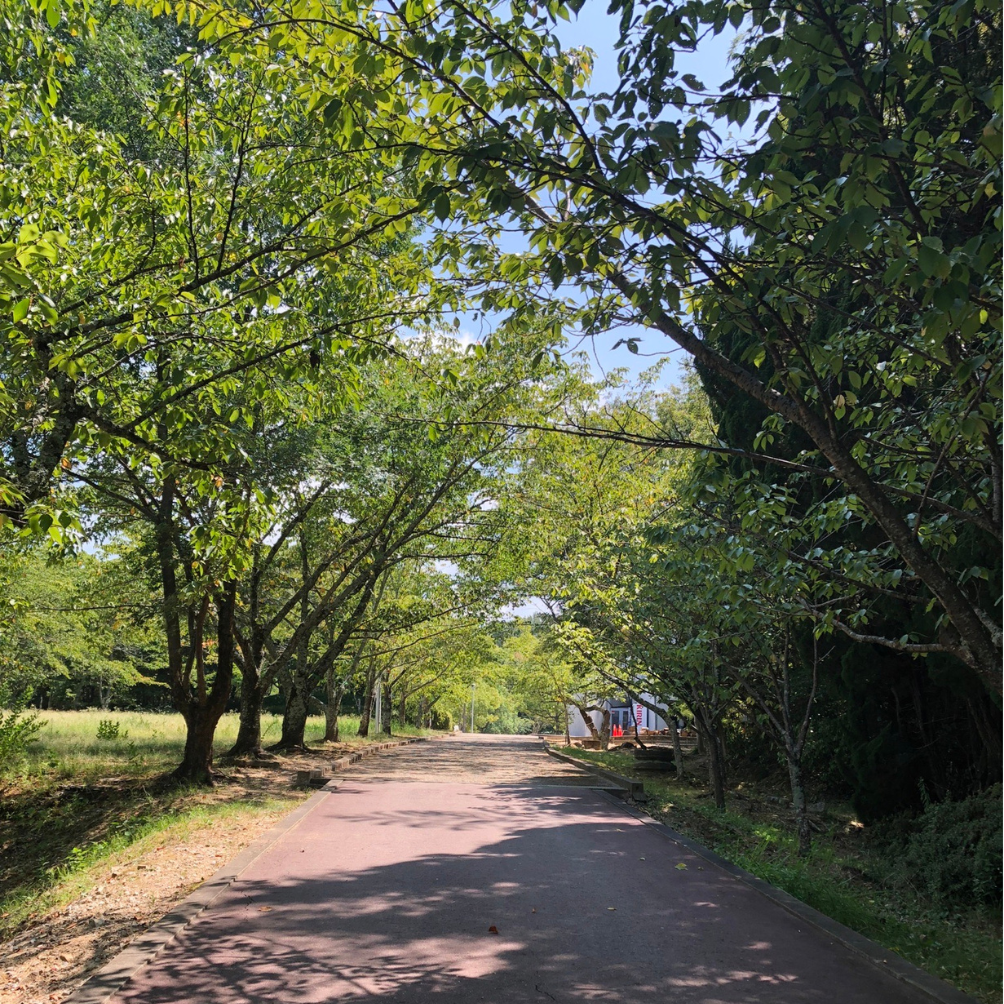 水間門前町での暮らしを感じる静かな風景