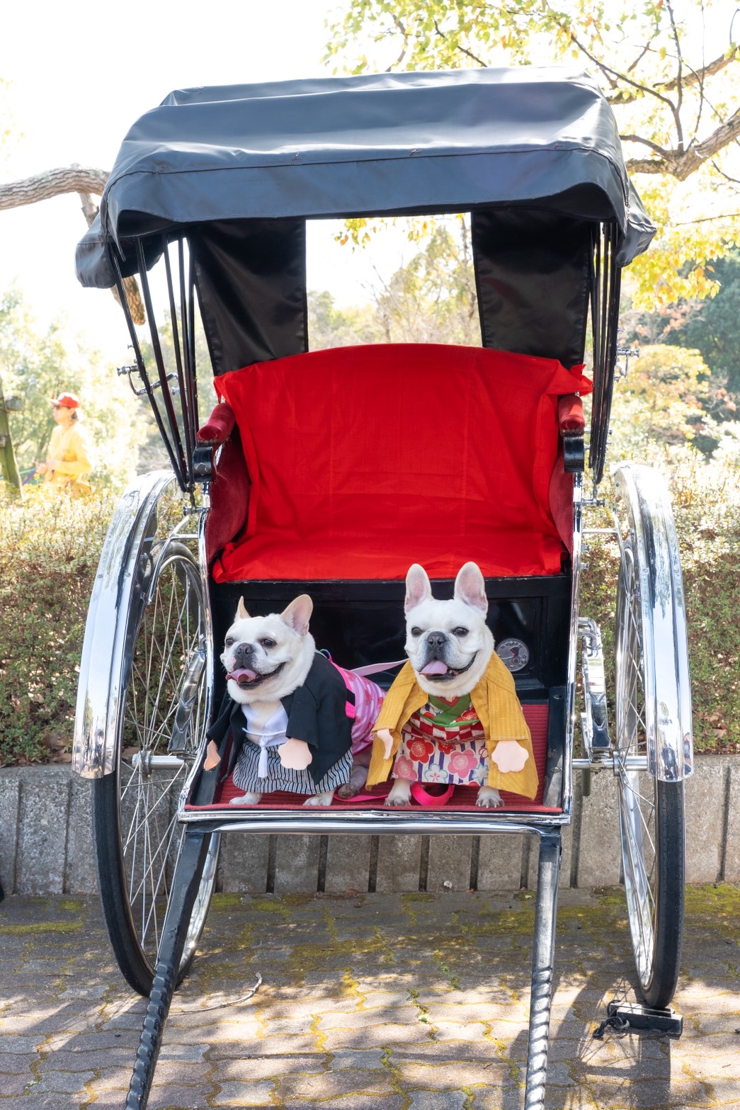 イベント会場で人力車体験を楽しむイメージ